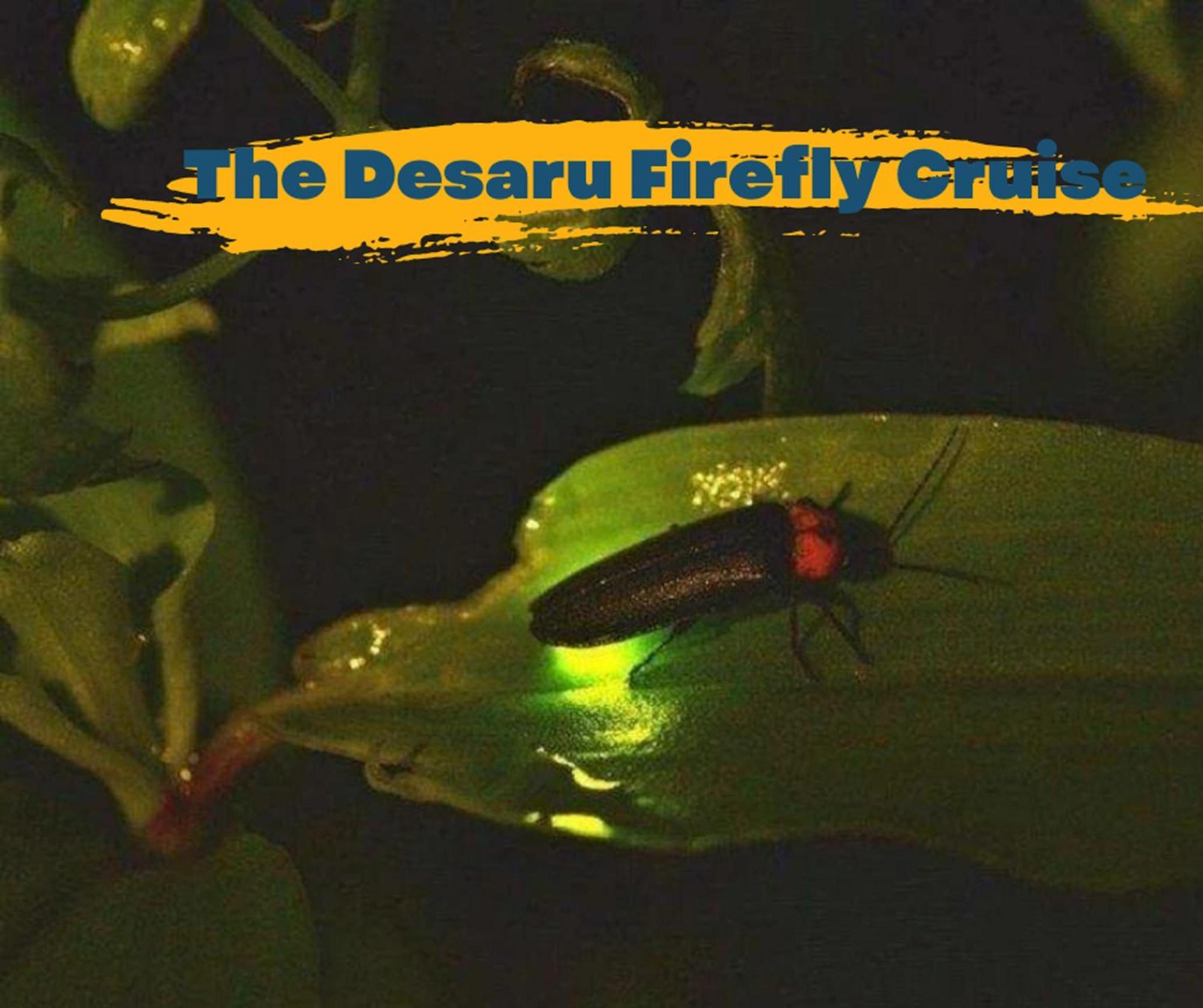 Desaru Johor By Glex Villa Buitenkant foto