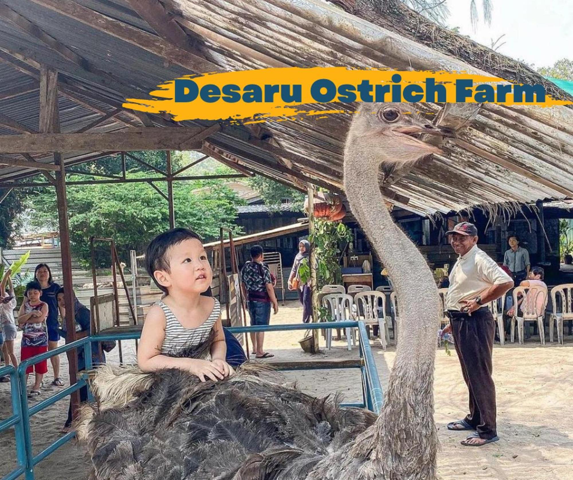 Desaru Johor By Glex Villa Buitenkant foto